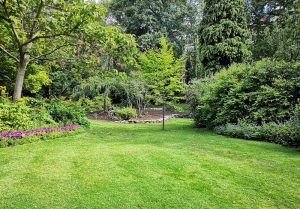 Optimiser l'expérience du jardin à Bernos-Beaulac